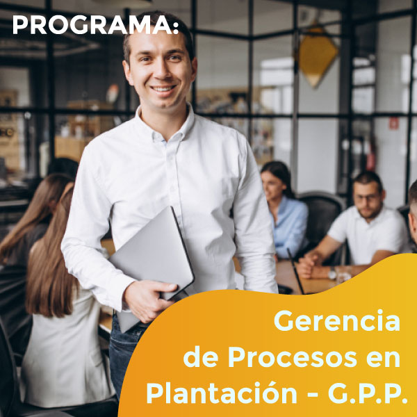 Gerencia de Procesos de Plantación de Iglesias - G.P.P. - 020822ARIZONA