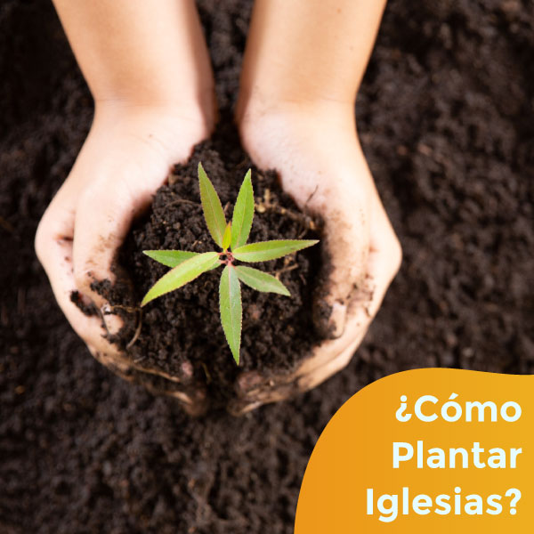 ¿Cómo Plantar Iglesias?